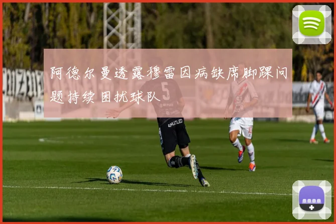 阿德尔曼透露穆雷因病缺席脚踝问题持续困扰球队